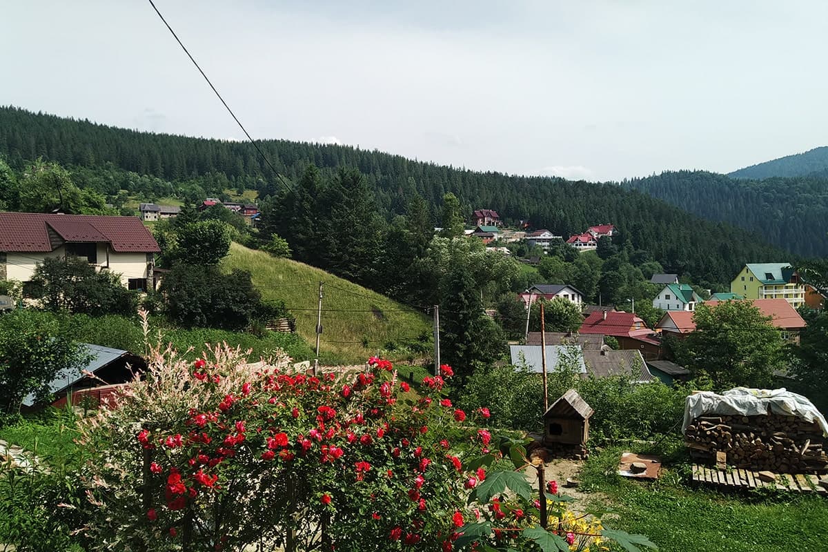Карпати