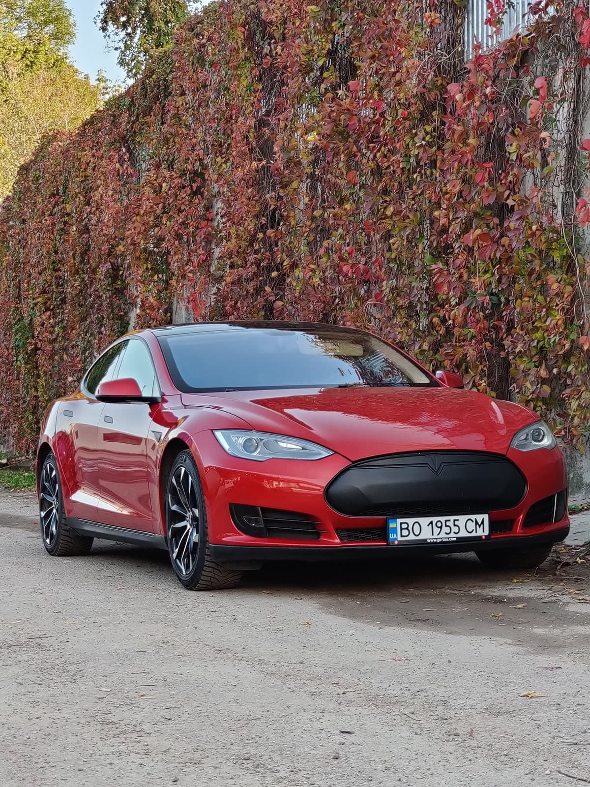 Реальні Китайці, Tesla Model S