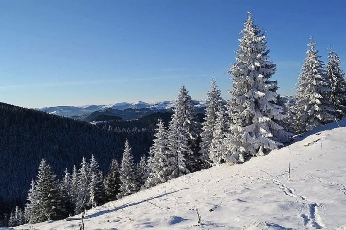 Снігові Карпати