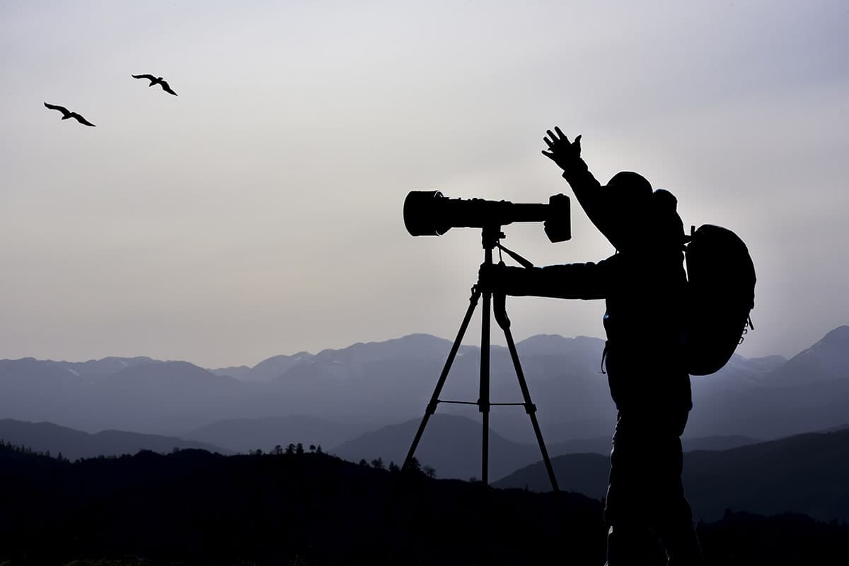 Бьордвотчинг (Birdwatching)