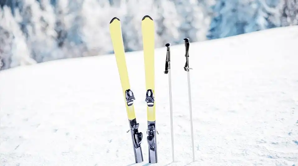 Топ-5 гірськолижних курортів України: що є, крім Буковеля?