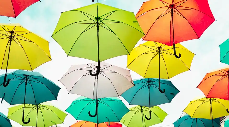 Які є види страхування?