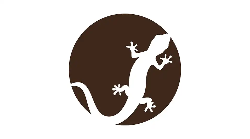 На hotline.finance зʼявилась автоцивілка від Саламандри