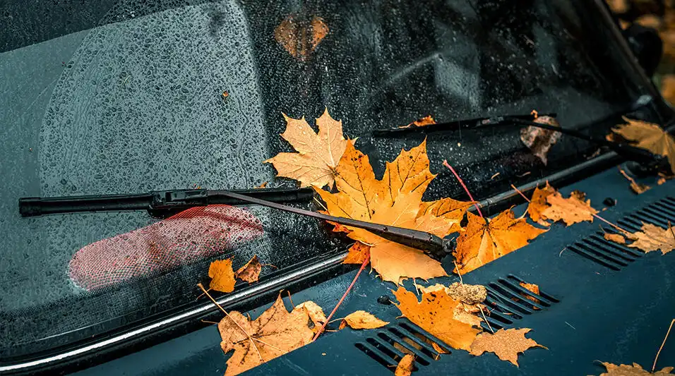 Як автомобілісту підготуватись до холодної осені та сніжної зими