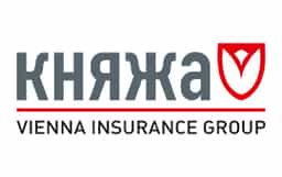 логотип компанії Княжа